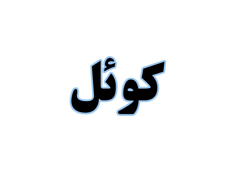 کوئل-استوک